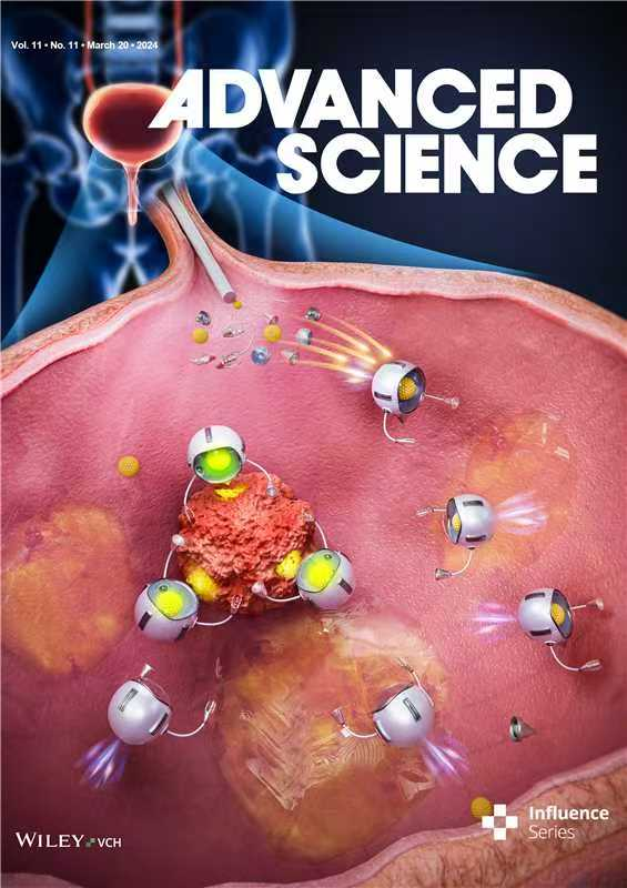 Advanced Science | 吴松教授团队开发自推进原位聚合纳米粒子，激活STING通路以增强膀胱癌免疫治疗